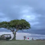 Los safaris al atardecer culminan con una puesta de sol en medio de la naturaleza salvaje.