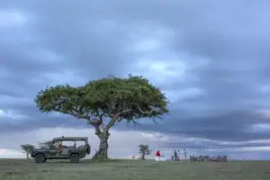 Los safaris al atardecer culminan con una puesta de sol en medio de la naturaleza salvaje.