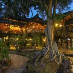 Sarova Shaba Game Lodge ofrece una tranquila escapada a la sabana y servicios excepcionales.