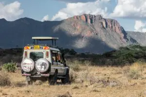 Explore el Parque Nacional de Shaba en impresionantes safaris. 