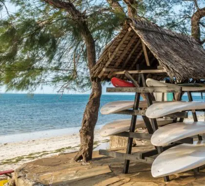 Grab a surf board and hit the waves. 