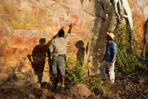 Explore ancient rock art sites in Malilangwe Reserve.