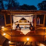 A treehouse sleep-out experience is a romantic addition for couples. 