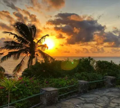 Enjoy sunset walks.