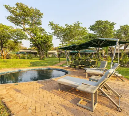 Swimming pool and loungers.