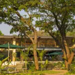 Trees provide shade in the courtyard and gardens.