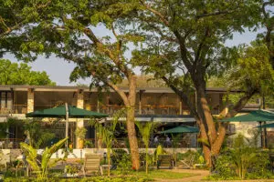 Trees provide shade in the courtyard and gardens.