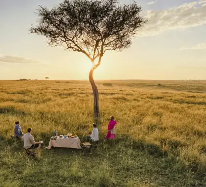 Puesta de sol en el Masai Mara, Kenia | Go2Africa