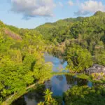 El restaurante Mzumi está situado junto a un humedal, donde la observación de aves y la cocina tradicional japonesa se unen para deleitar sus sentidos.