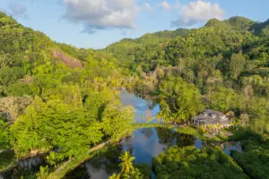 Mzumi Restaurant is nestled beside a wetland, where birdwatching and traditional Japanese cuisine come together to delight your senses.