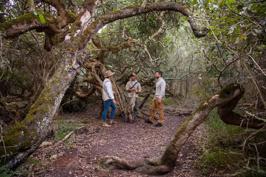Varias personas de pie en la Reserva Natural Privada de Grootbos | Go2Africa
