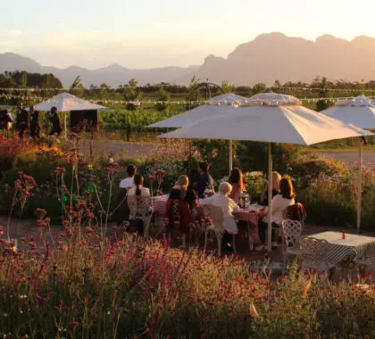 img_7354-avondale-banner