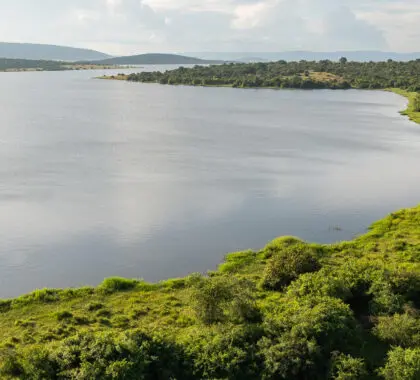 magashi-akagero-national-park