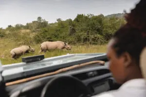 Avistamiento de rinocerontes en Akagera | Wilderness Magashi