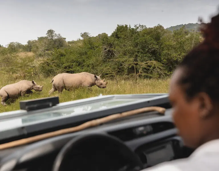 Spotting rhinos in Akagera | Wilderness Magashi