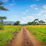 Explorar el Parque Nacional de Akagera | Go2Africa