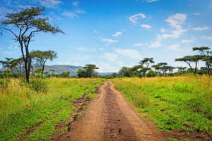 Explorar el Parque Nacional de Akagera | Go2Africa