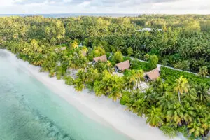The Beach Bungalows along the palm-dotted coast of Alphonse Island. 