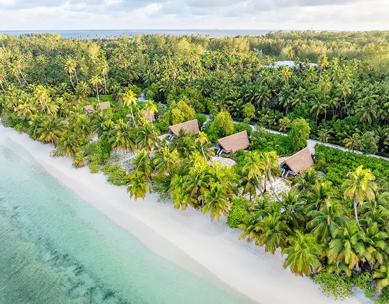 The Beach Bungalows along the palm-dotted coast of Alphonse Island. 