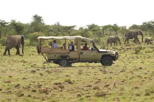 Game drives in a private conservancy. 