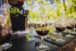 boschdendal-farm-chocolate-and-wine-pairing