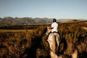 Horse riding is a great way to explore the farm and soak in glorious mountain views. 