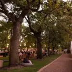 Enjoy the lively atmosphere of Friday night markets. 