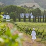 Explore surrounding vineyards.