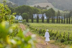 Explore surrounding vineyards.