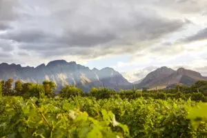 Franschhoek's vineyards and mountain range | La Cle Village