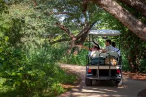 Hop on a cart for a tour around the estate. 