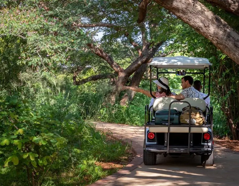 Hop on a cart for a tour around the estate. 