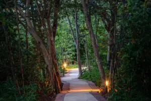 Stroll down tree-lined walkways, lulled into a state of peace by the soft melodies of birdsong.