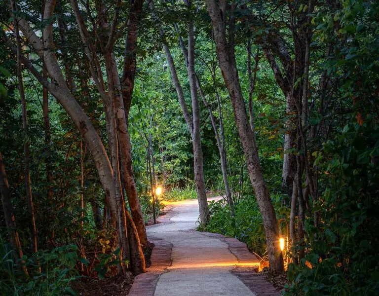 Stroll down tree-lined walkways, lulled into a state of peace by the soft melodies of birdsong.