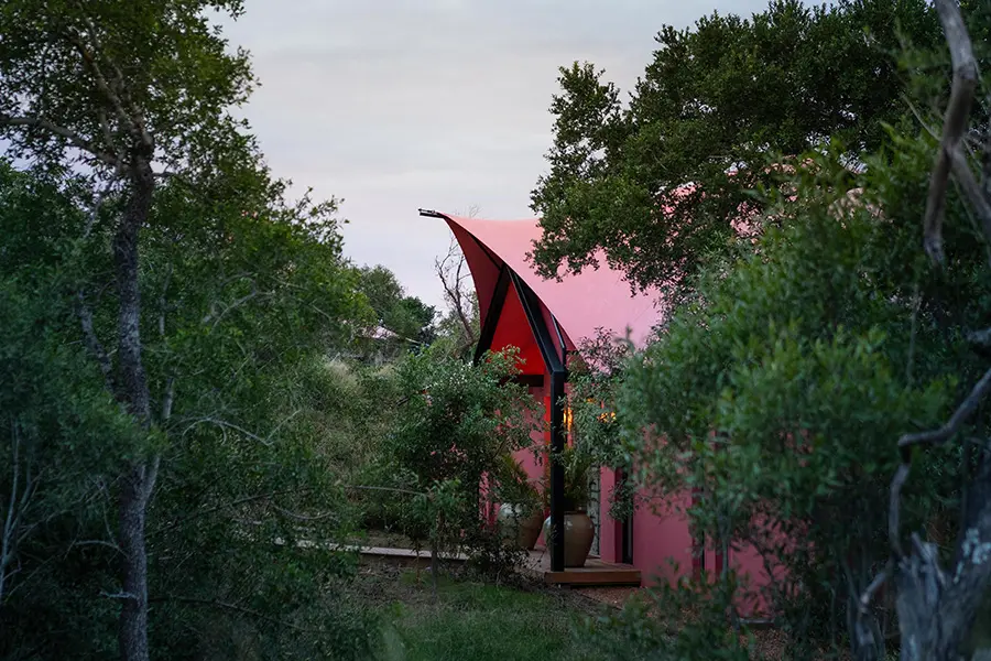 royal-maliwane-masiya-s-camp-luxury-tented-suite-exterior