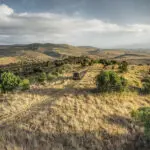 The Borana landscape.