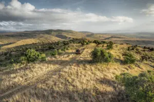 The Borana landscape.