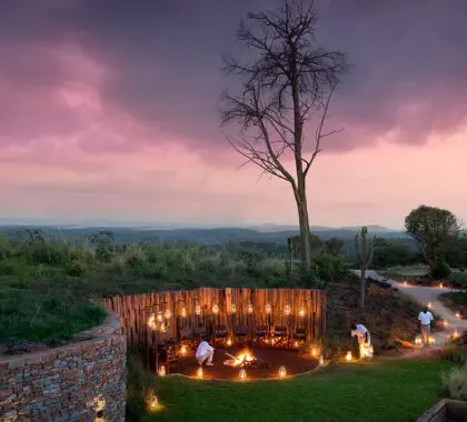 An evening in the boma | Sirai House