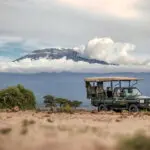 Game Drives con el imponente Kilimanjaro como telón de fondo.