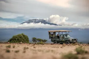 Game Drives with the towering Kilimanjaro as a backdrop. 