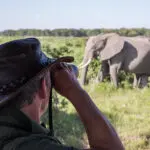 Impresionantes avistamientos de elefantes.