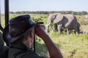 Impressive elephant sightings.