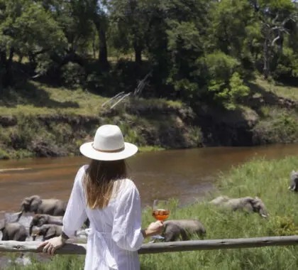 lion-sands-narina-lodge-fire-deck-banner-recrop