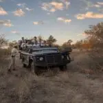 Enjoy game drives through Motswari Private Game Reserve.