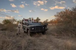 Enjoy game drives through Motswari Private Game Reserve.