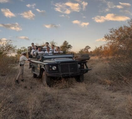Enjoy game drives through Motswari Private Game Reserve.
