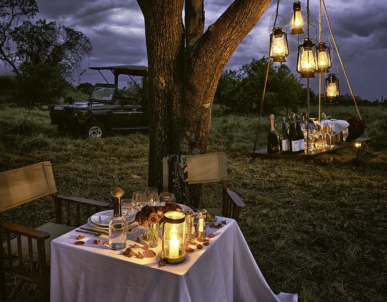 Dine in the soft light of lanterns and stars. 