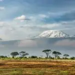 Savour majestic views of Mount Kilimanjaro in the distance. 