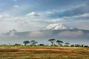 Savour majestic views of Mount Kilimanjaro in the distance. 