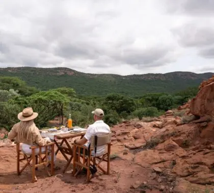 Savour bush breakfasts embraced by the wild expanse. 